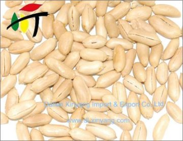 Wholeslae blanched peanut groundnut