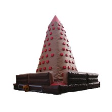 Outdoor Inflatable Climbing Walls and Play Equipment for Adults