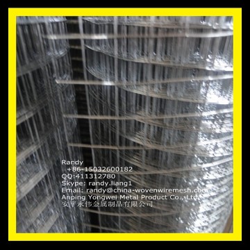 YW--Yongwei 25mm x 25mm welded wire mesh fence