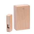 Houten USB-flashstation met doos