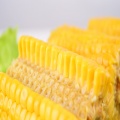 Vacuum Seal Fresh Corn On The Cob