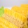 Vacuum Seal Fresh Corn On The Cob