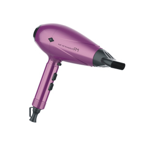 Plastic Professional Hair Dryer with 110V and 220V