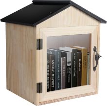 Custom Wooden Indoor/Outdoor Double Freestanding Small Library Boxes with Bookshelves for Community and School Book Sharing
