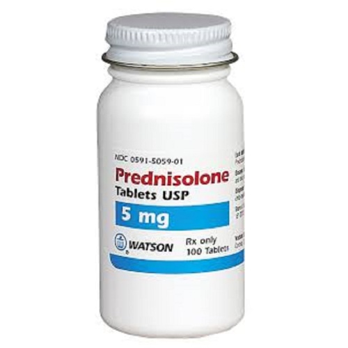 prednisolone use in cats