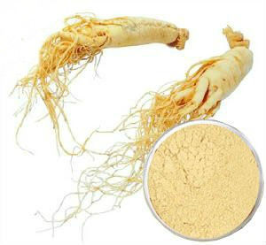 Panax ginseng root powder