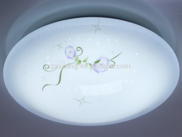 indoor modern 12w led ceiling lamp