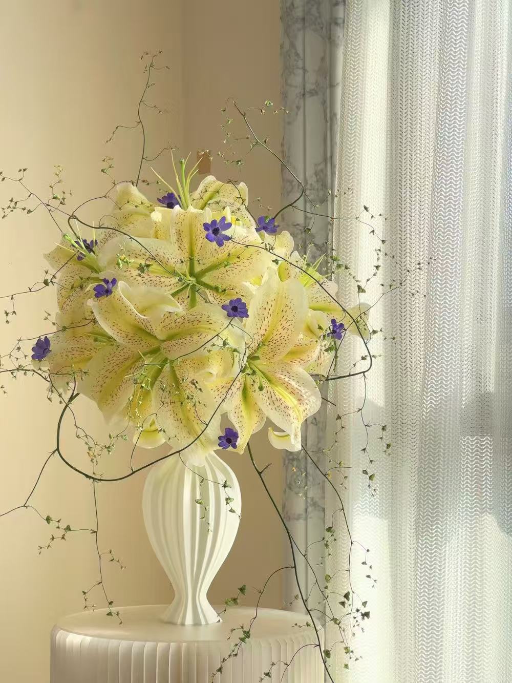 تايجر موين أورينتال ليلي4 Tiger Muen Oriental Lily4