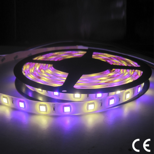 SMD5050 3528 Double-Row RGBW 24V LED Flexible Light Strip