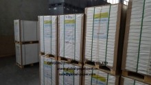 Coated Couche Paper for Printing