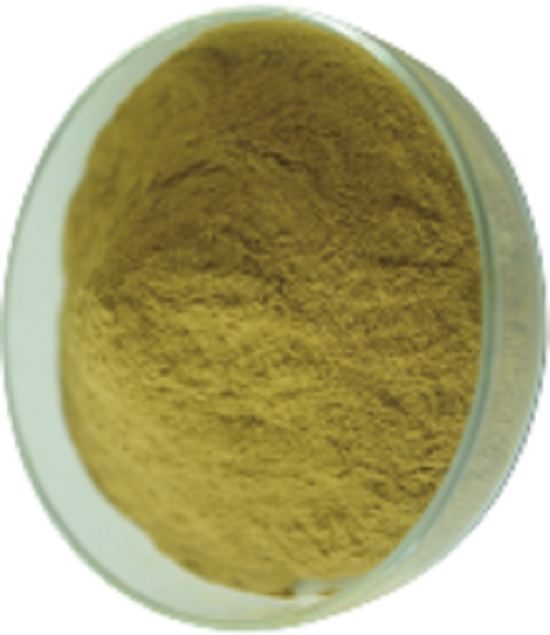 Chlorogenic Acid Green Coffee Bean Extract