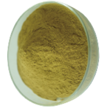 Chlorogenic Acid Green Coffee Bean Extract