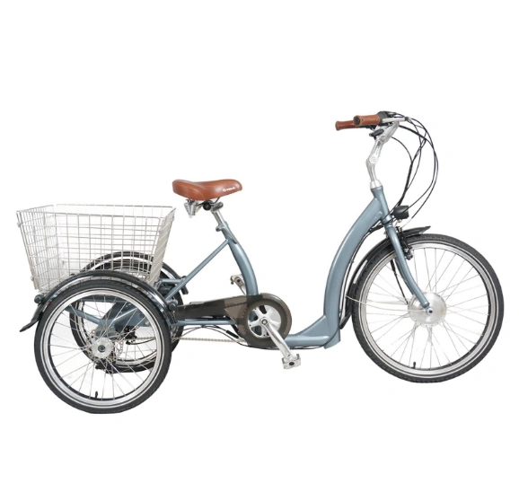 Wholesale 36V 350W Electric Tricycle for Shopping