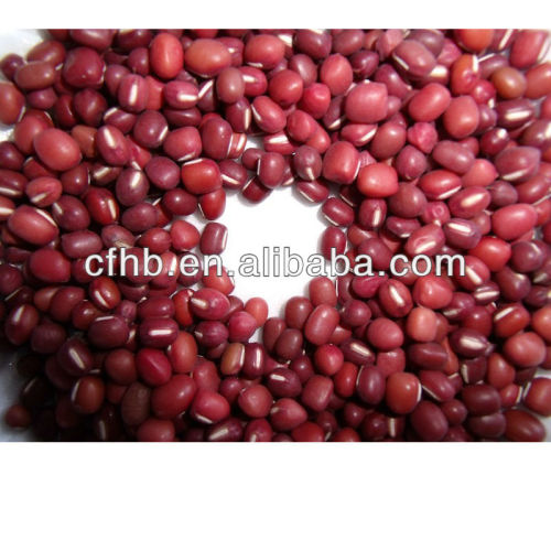 Small red beans /Red kidney beans