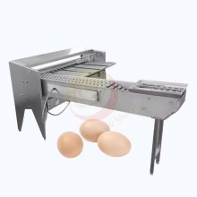 High Efficiency Automatic Duck Egg Sorter Machine - 10000pcs Per Hour Egg Grader Classifier
