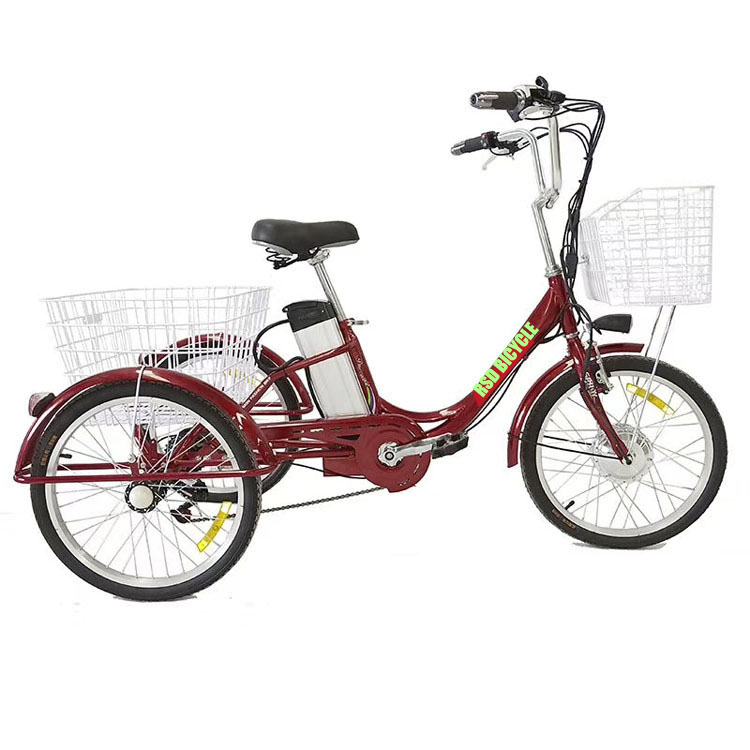 With brand battery high quality rickshaw adult tricycle/adult tricycle cheap/adult tricycle-electric-motor