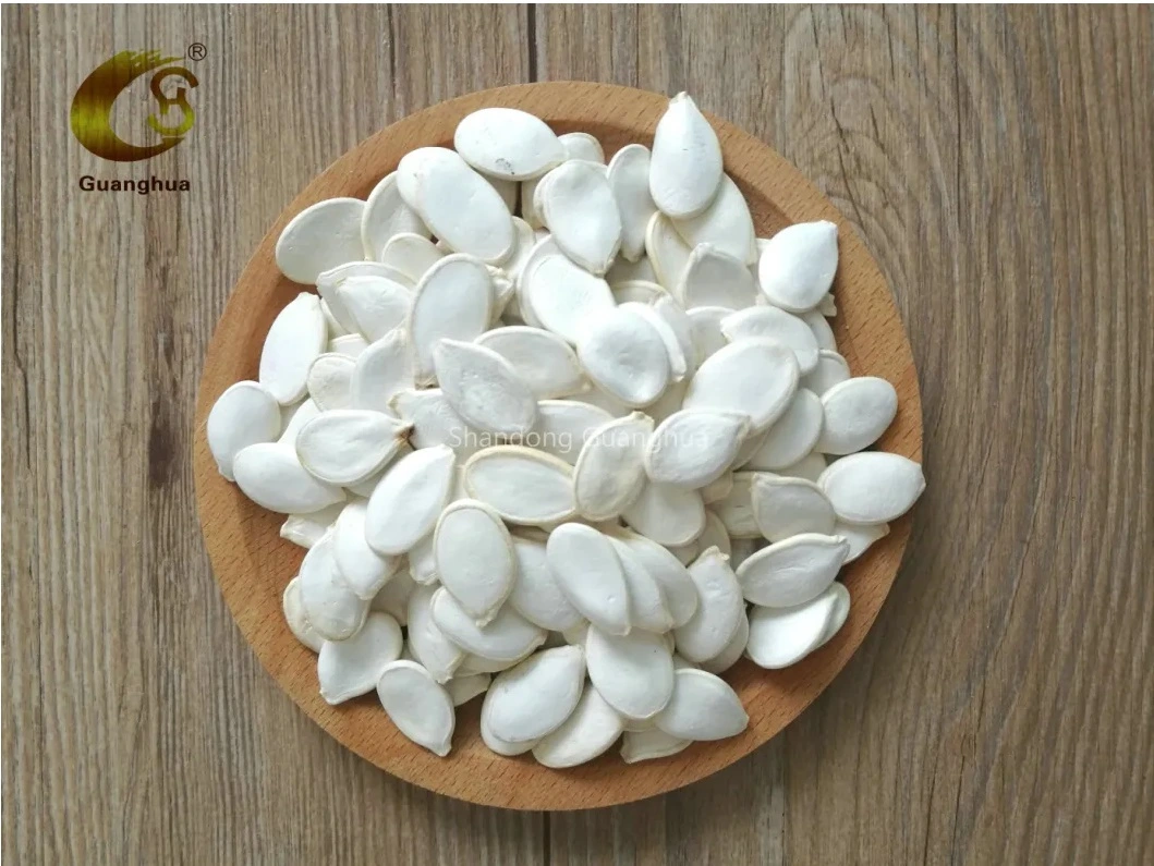 Snow White Pumpkin Seeds New Crop Healthy Good Quality 11cm