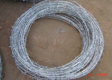 Barbed wire / Razor Bared Wire Low Price