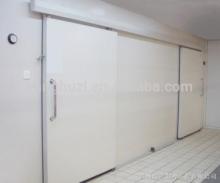 cold storage room door /sliding door