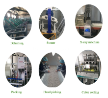 Grade AA shine skin pumpkin seeds kernels