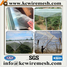 Orchard anti bird PE knotless netting