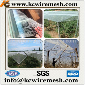 Orchard anti bird PE knotless netting