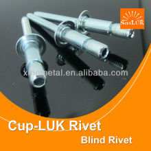 anlock type blind rivet/steel blind rivet