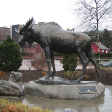 Popular Garden Decoration Design Casting Bronze Life Size Moose Sculpture