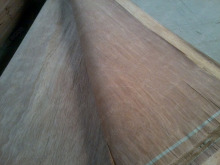 Rotary cut natural keruing veneer with 0.30mm