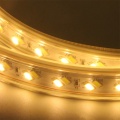 SMD5730 مرنة LED Rope Light Strip Voltage عالية الجهد