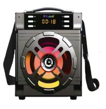 Professional Portable Audio Trolley Speaker with SD/USB/BLUETOOTH