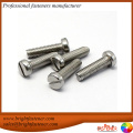 DIN84 Slotted Cheese Head Screws