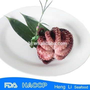 frozen boile octopus vulgaris from china