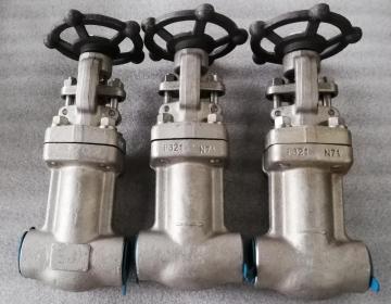 F321 bellow globe valve