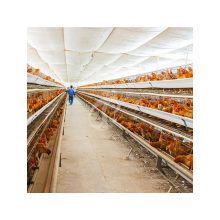 China Custom ODM Chicken Layer Coop Wholesaler for Poultry Cages