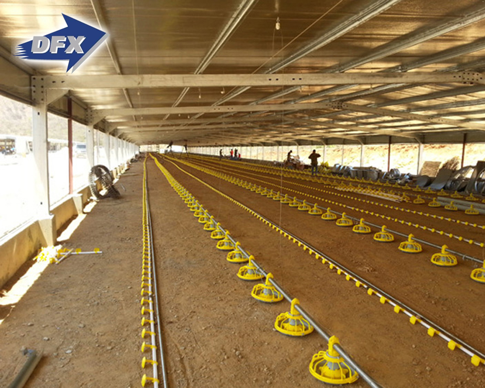 China low cost live chicken commercial structural poultry housing buildings for broiler