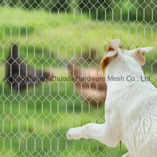 2 Inch Hexagonal Poultry Netting Galvanized Chicken Wire Mesh Fence