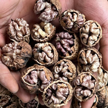 Premium Sweet Old Tree Walnut with Purple Skin