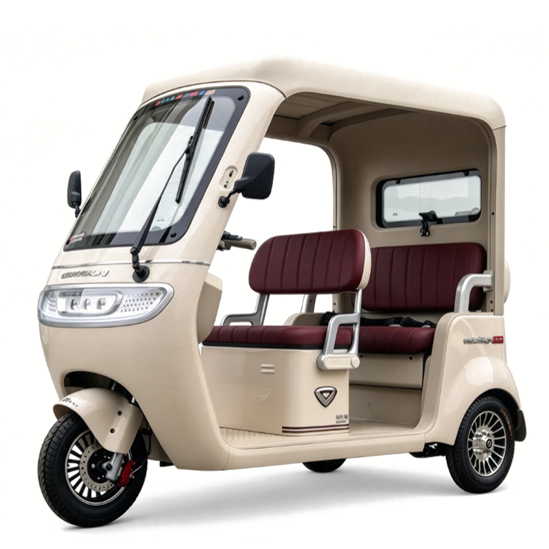 इलेक्ट्रिक अवकाश तिपहिया-लंबी दूरी Electric Leisure Tricycle-Long-Distance