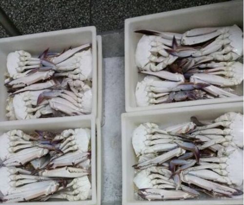 Supermercados venden cangrejo cortado congelado