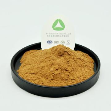 Coptis chinensis extrait de poudre de chlorhydrate de berbérine 98%