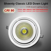 38W LED Downlight  Euron-popular COB  6inch