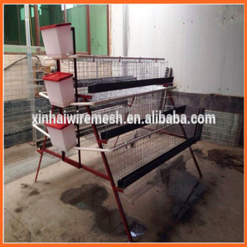 Layer Chicken Cage for Chicken Farm for Srilanka/Welded Wire Mesh Panel Chicken Cage/Welded Chicken Cage Wire Mesh