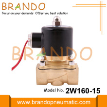 2W160-15 1/2 İnç Pirinç Su Solenoid Valfı 24V