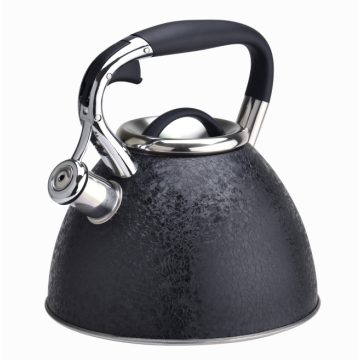 Stainless steel stovetop ice coating coffee tea kettle