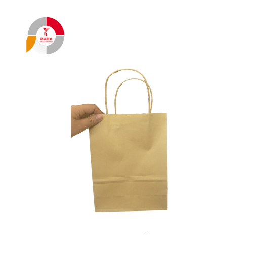 Flexible Design Paper Gift Bag with Handle