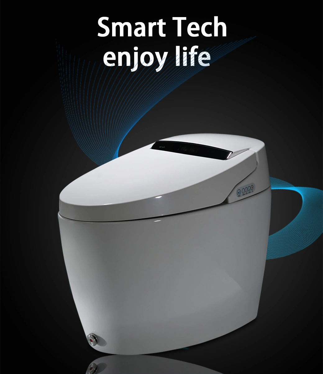 Ceramic One Piece Siphonic Flushing Intelligent Electric Automatic Smart Toilet with Bidet