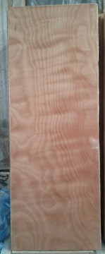 Painted Meranti Flush Door