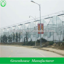 4mm twin wall polycarbonate greenhouse
