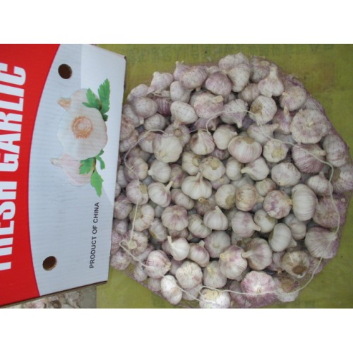 2020 Top Quality Fresh Normal White Garlic